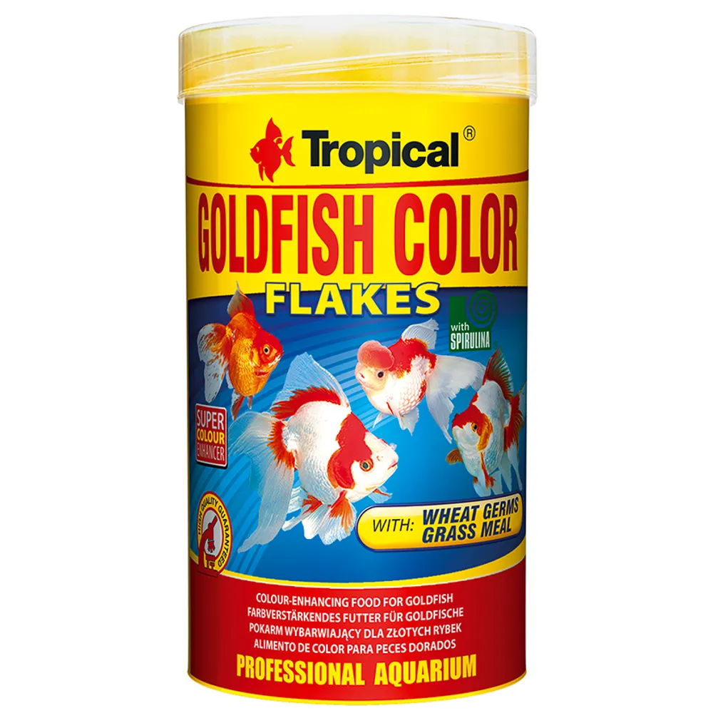Tropical Goldfish Color