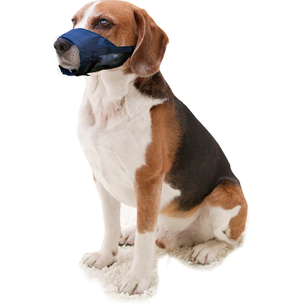 Pawise mundkurv nylon til hund M
