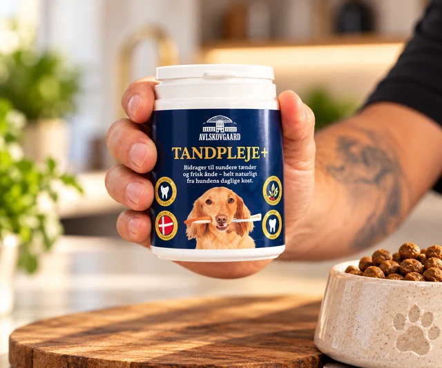 Avlskovgaard Tandpleje+